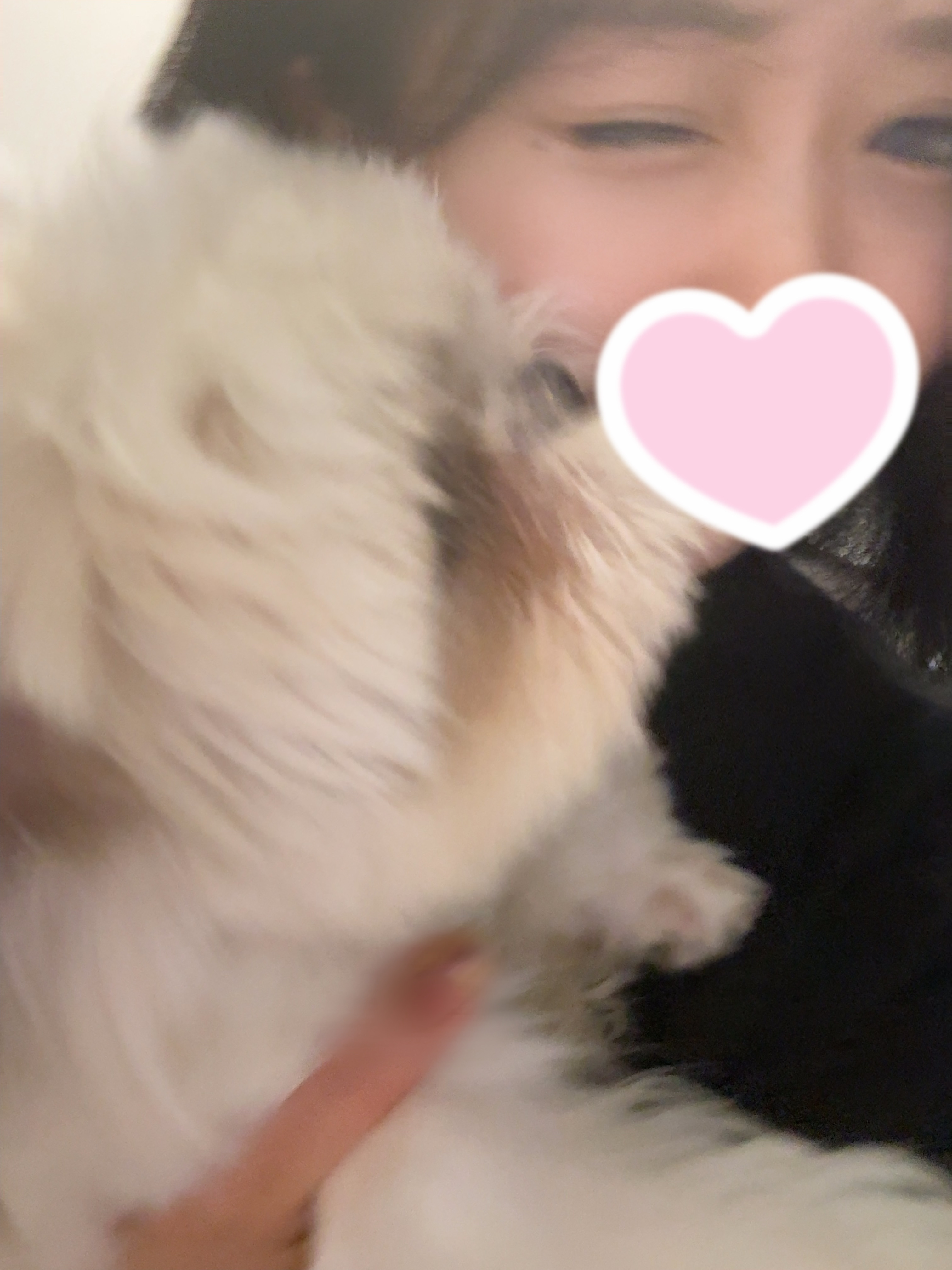 【秋葉原メンズエステ prispa blog】️休日は…🐶メイン画像