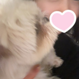 	 【秋葉原メンズエステ prispa blog】️休日は…🐶前のブログ