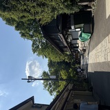 自然感じてきた🌳☀️前のブログ