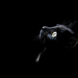 	 【秋葉原メンズエステ prispa blog】️7月最後と8月最初のお礼💌🙇‍♂️前のブログ