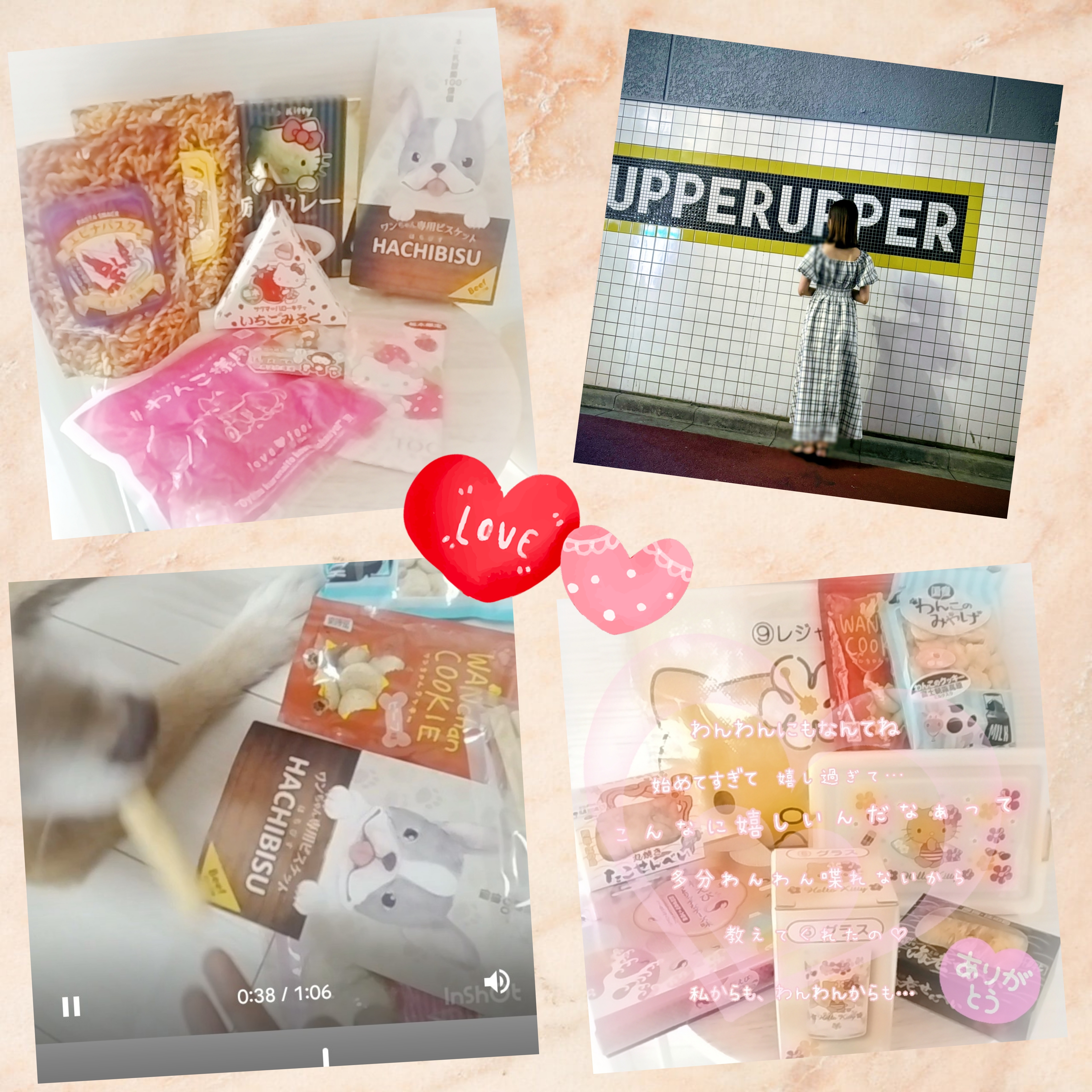 🆕28.OCT.2025♡メイン画像