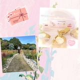 【秋葉原メンズエステ prispa blog】️🆕22.OCT.2025♡前のブログ