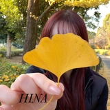 	 【秋葉原メンズエステ prispa blog】️💎おひなのニチジョウ💎次のブログ