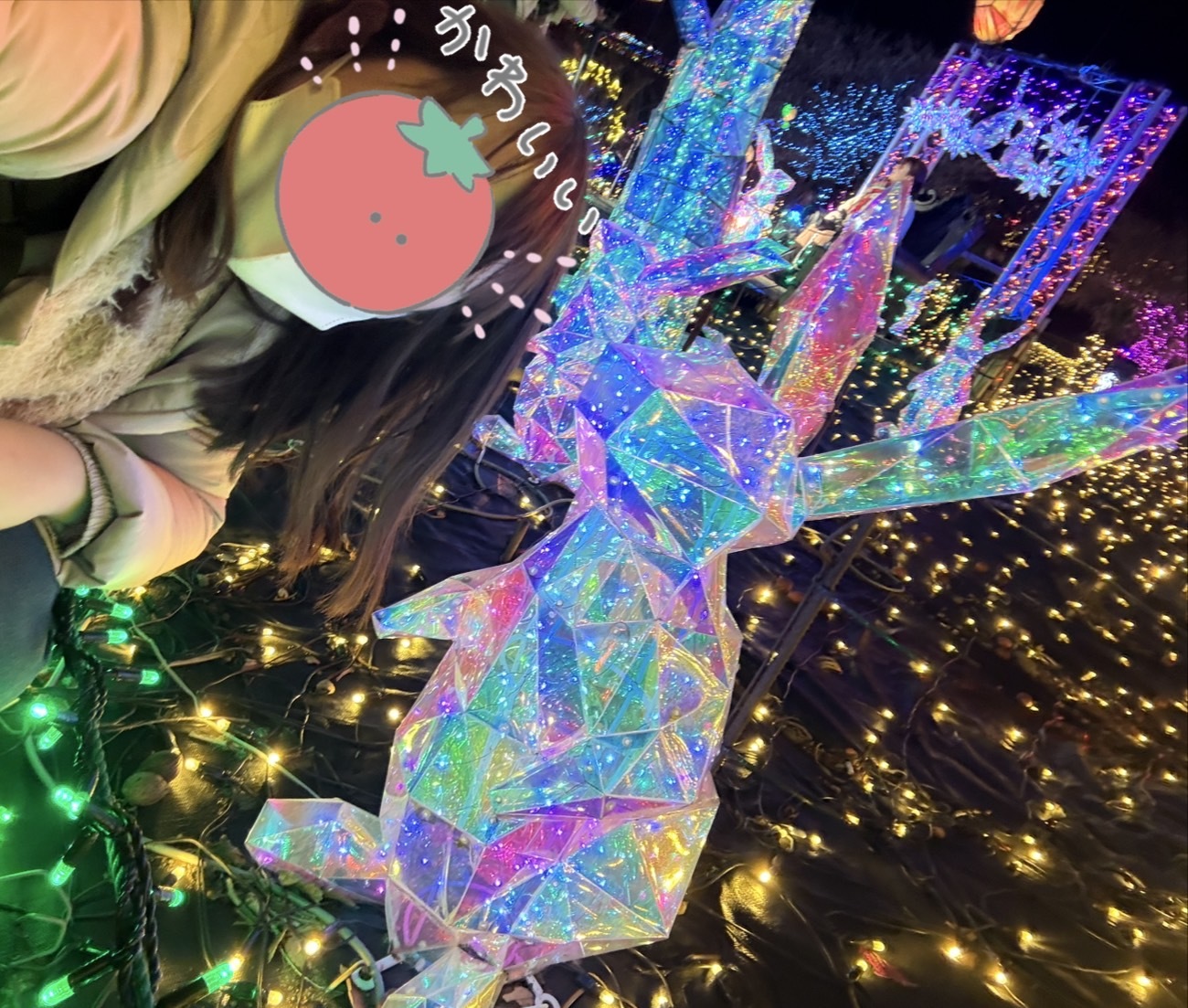 12月いるひメイン画像