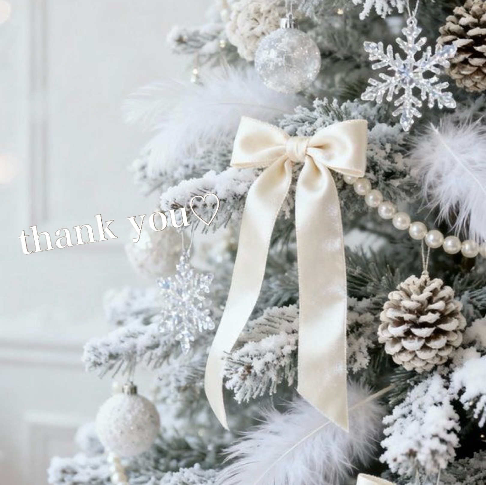 *｡＊⌒ ﾟ*｡＊⌒thanksLetter ﾟ*.メイン画像