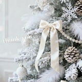 *｡＊⌒ ﾟ*｡＊⌒thanksLetter ﾟ*.前のブログ