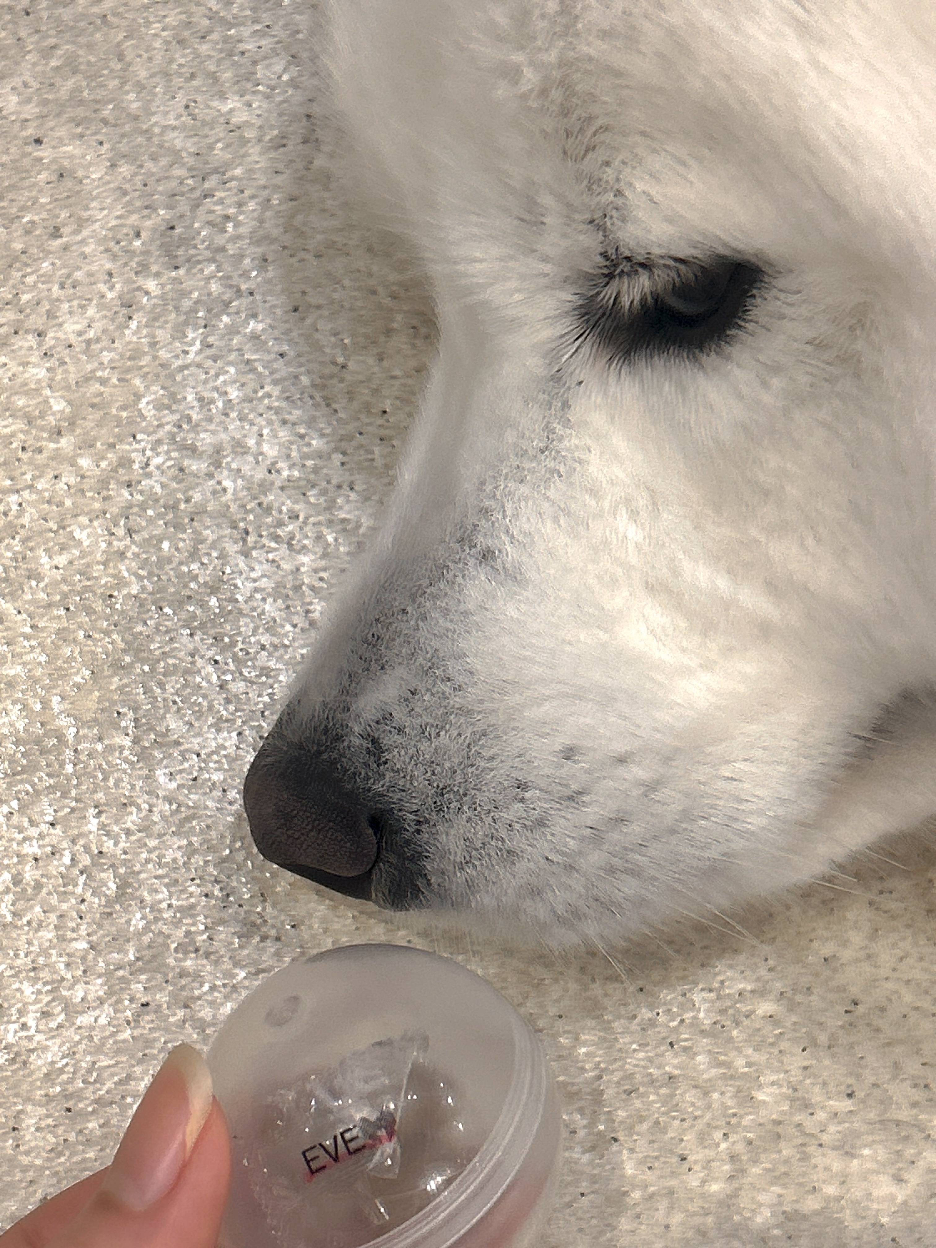 癒しメイン画像