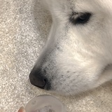 3M〜3Day'sメンズエステホームページ立ち上げプロジェクト〜