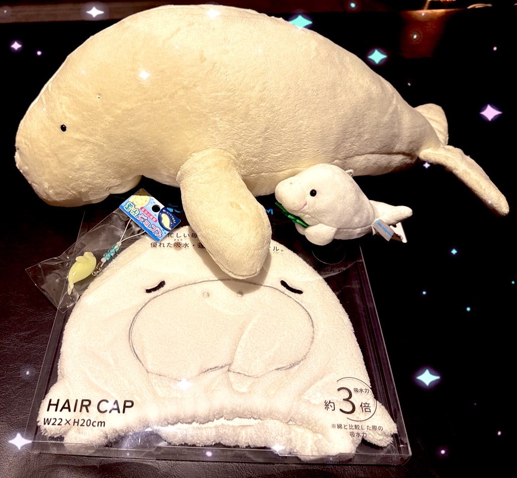 ご無沙汰しておりますメイン画像