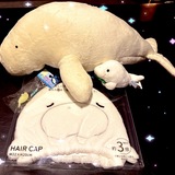 ご無沙汰しております次のブログ