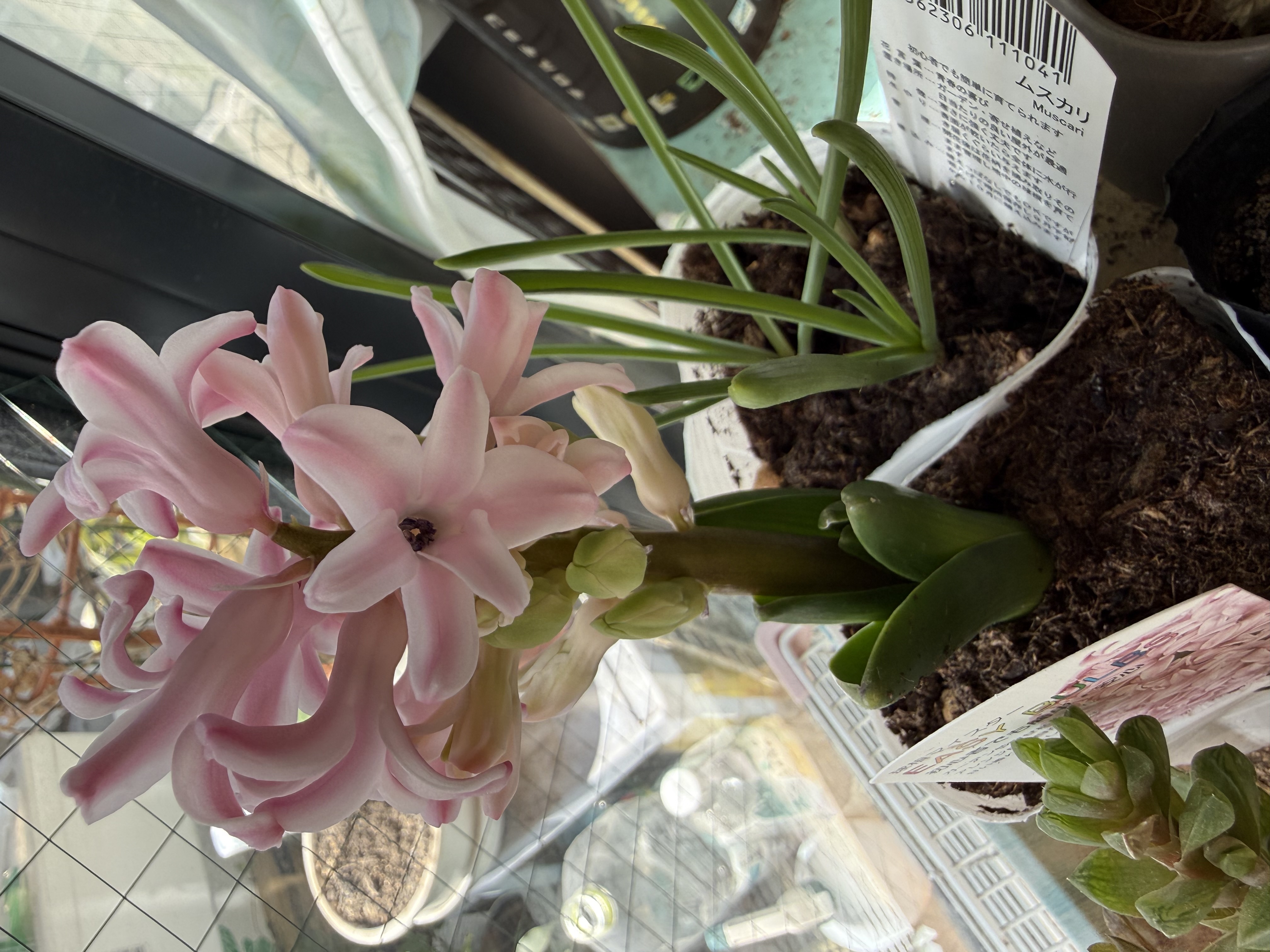 2日間ありがとうございました❤️メイン画像