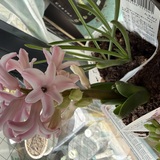 2日間ありがとうございました❤️前のブログ