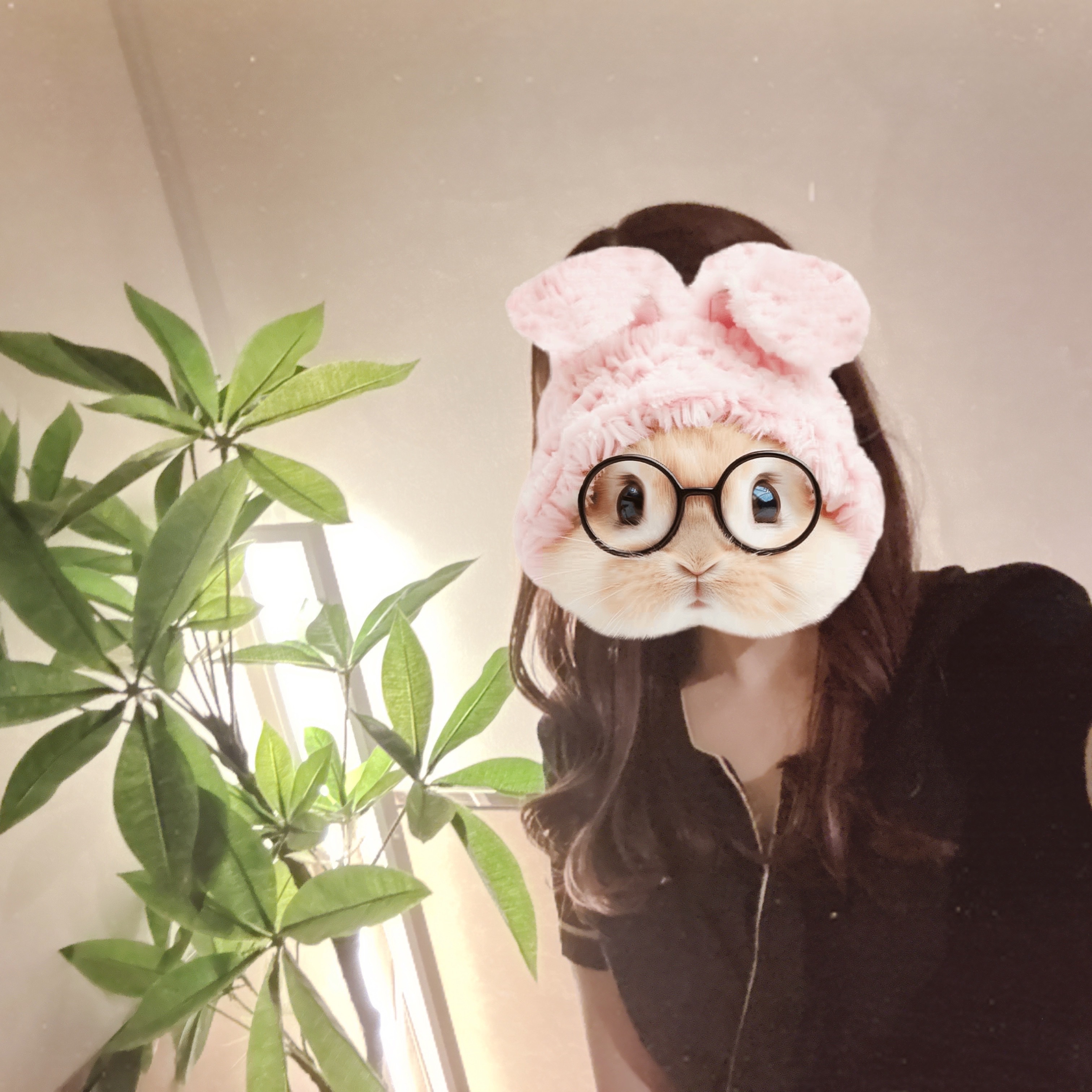 ❄︎雪❄︎メイン画像