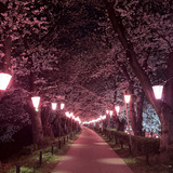 メンズエステブログ - 🌸