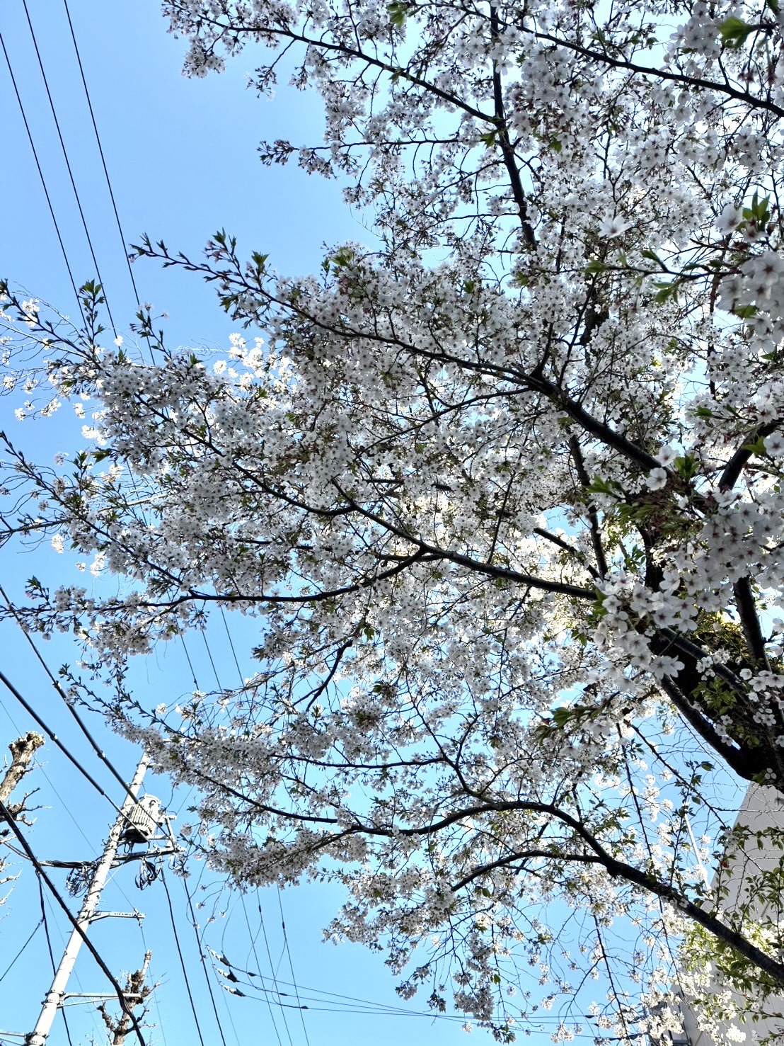 出勤します♡メイン画像