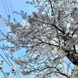 メンズエステブログ - 出勤します♡