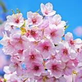 メンズエステブログ - 珍しく