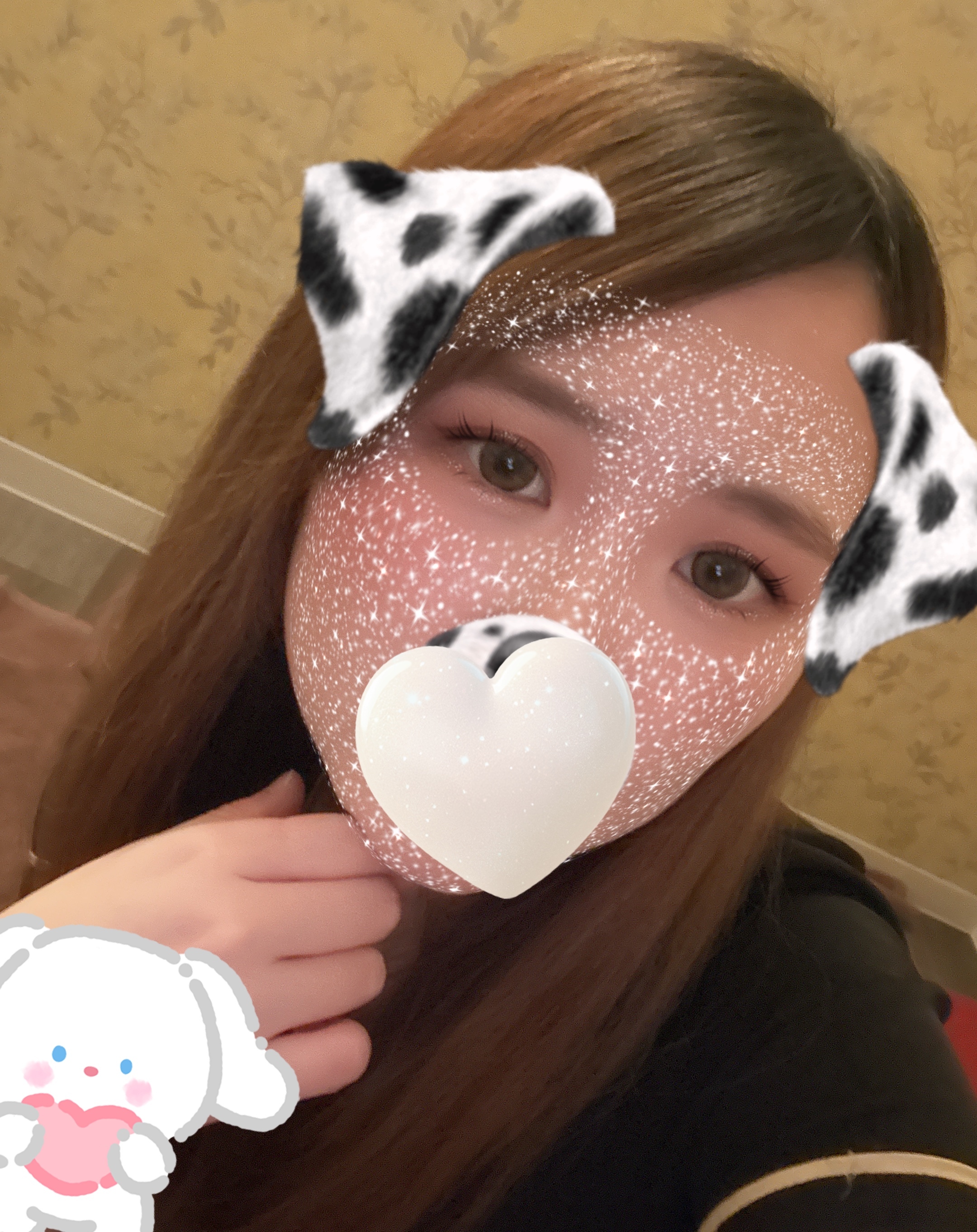 ふわっと癒されに来てね🕊️メイン画像