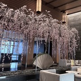 メンズエステブログ - 空きあるよ♡今ならゆっくり会えるかも…？