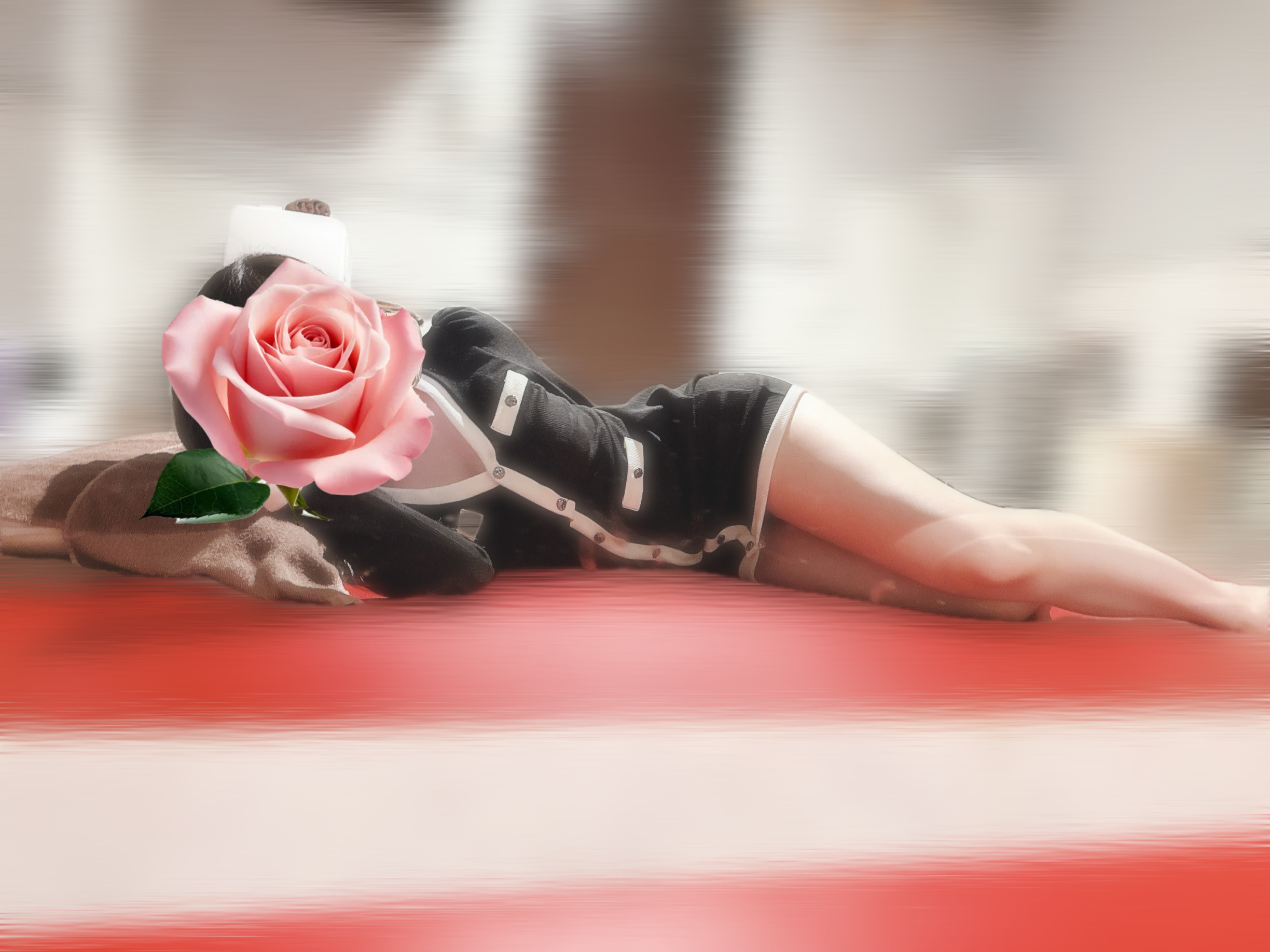 🌉✨メイン画像