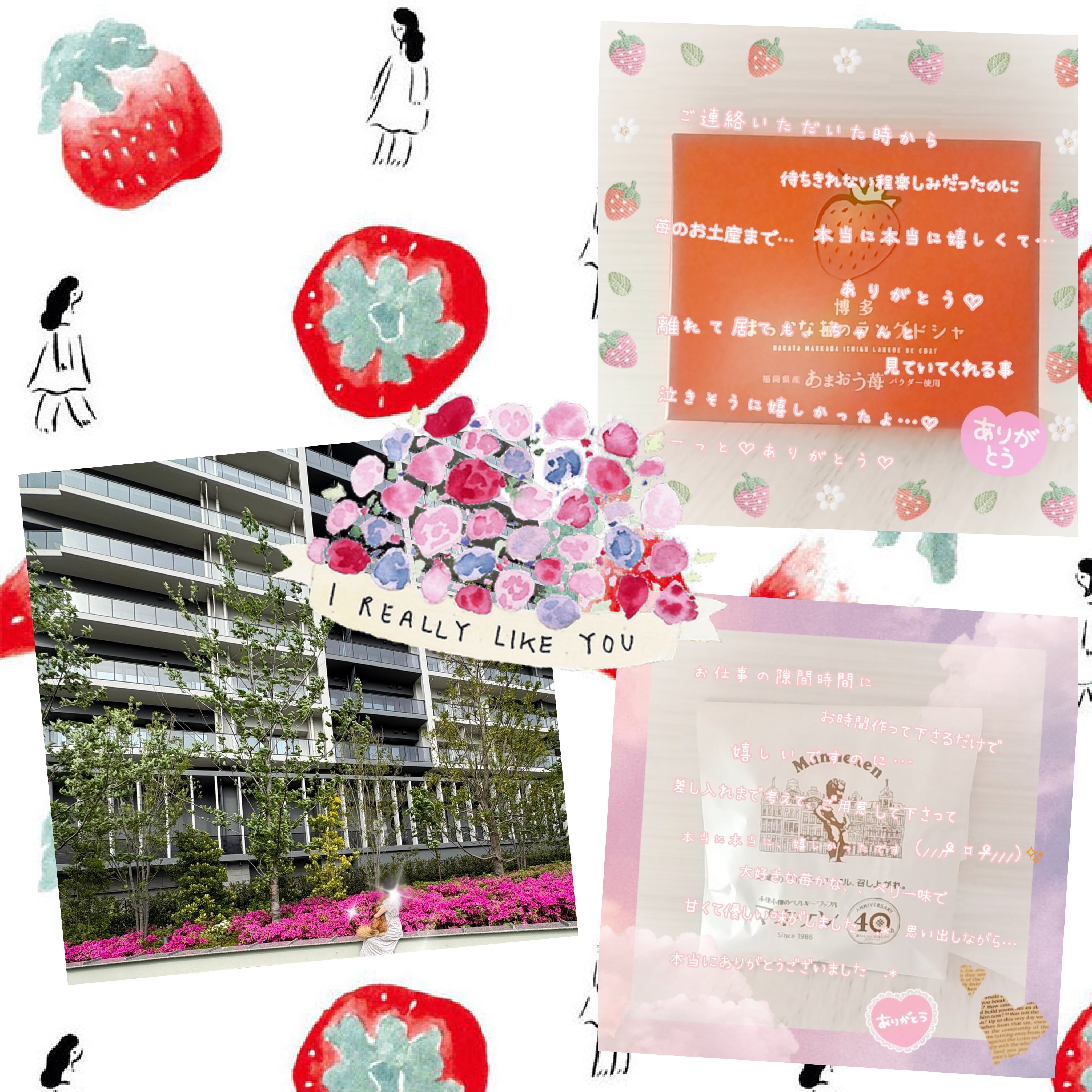 🆕28.Apr.2026♡ＧWの🗓はｺﾁﾗに🎏💞メイン画像