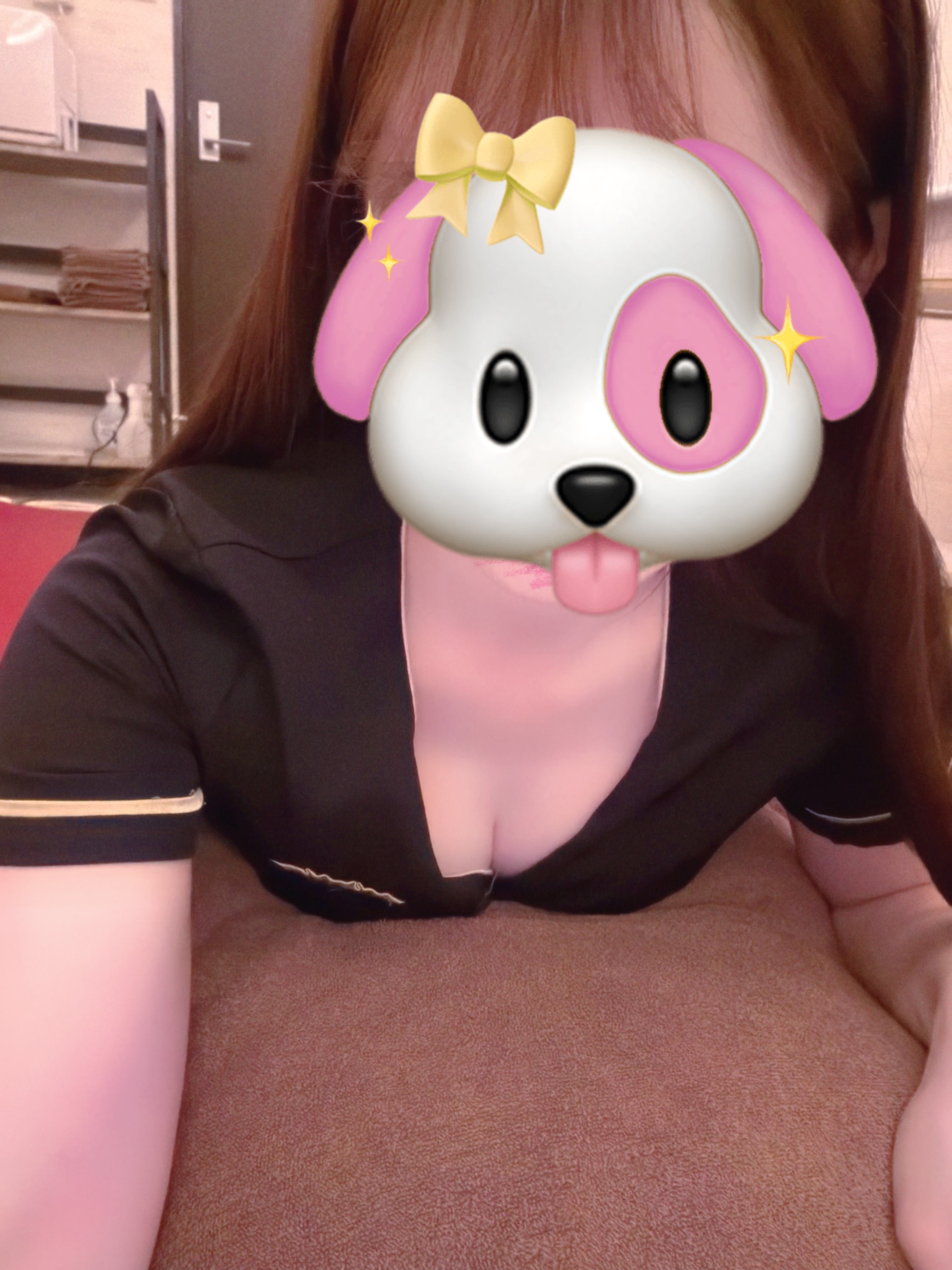 5/2🐶メイン画像