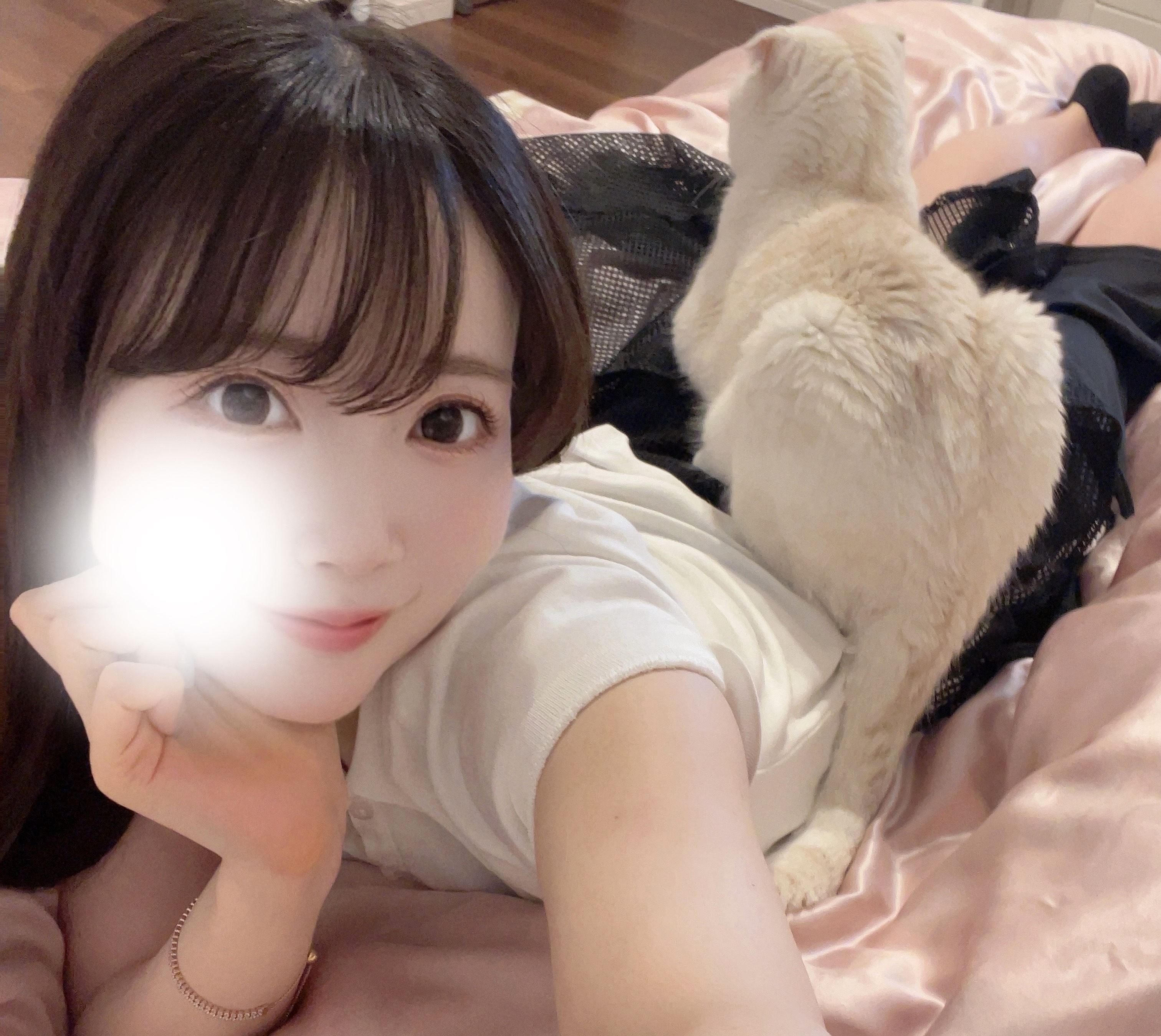 おはようございます🐱メイン画像
