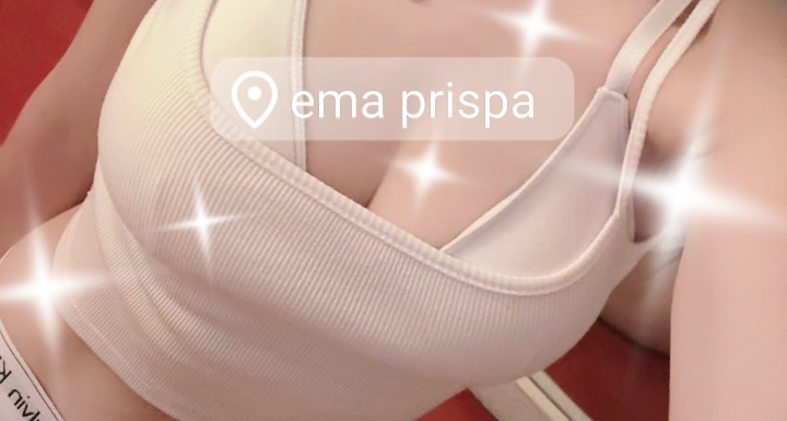🦭メイン画像