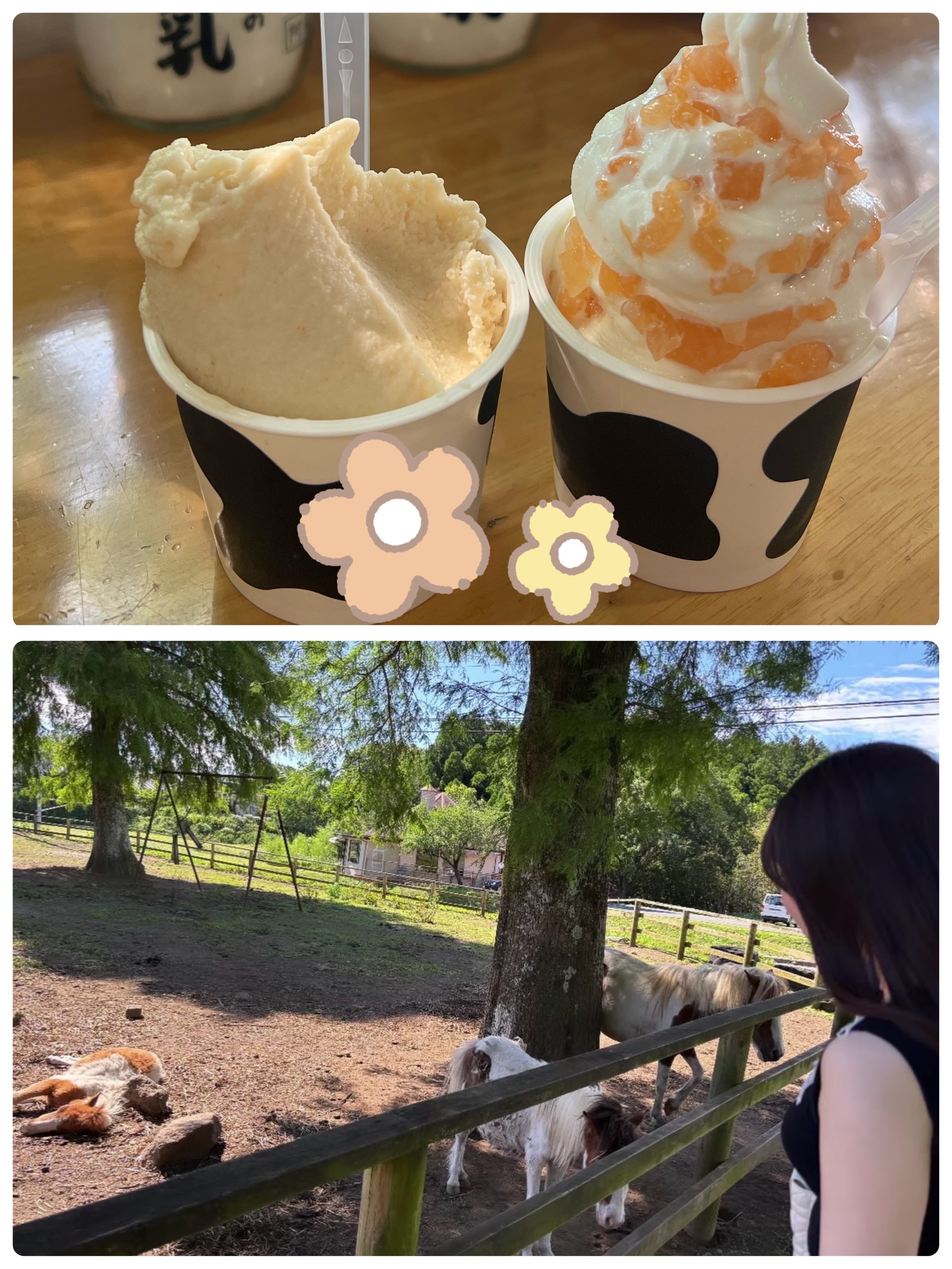おうまさん🐴メイン画像