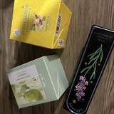 メンズエステブログ - 昨日はありがとうございました✨お礼