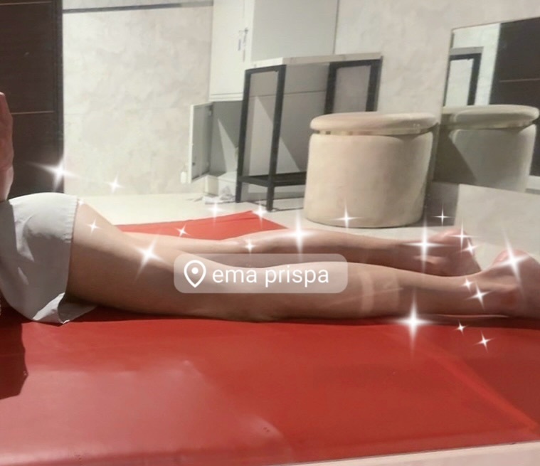 🦭メイン画像
